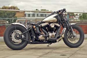 Harley Softail