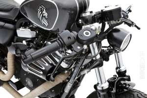 Sportster 48