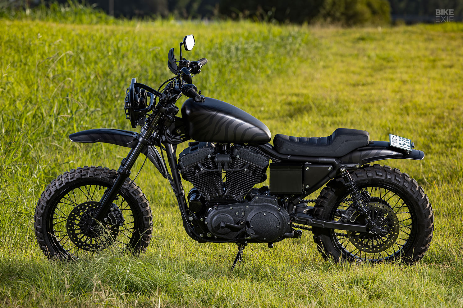 Brutester: An animalistic Harley Sportster 883 scrambler