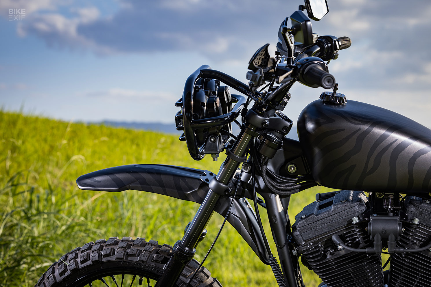 Brutester: An animalistic Harley Sportster 883 scrambler