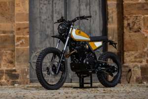 HB Custom NX 650 15