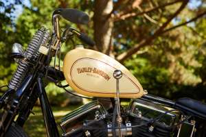 Copper Choppers Panhead 14