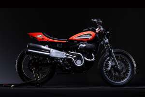 Mule buell street tracker 19