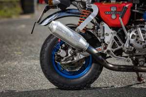 Turbo honda monkey 12