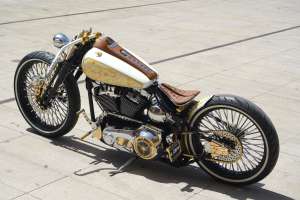 Lord Drake Custuom Harley Davidson Softail 5