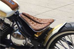 Lord Drake Custuom Harley Davidson Softail 11