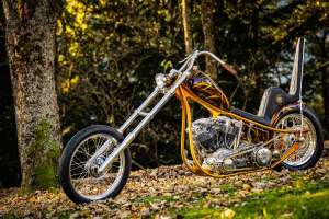 Wolfgang Mayerl Harle Davidson Shovelhead Chopper 16