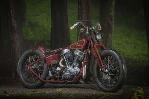 Infinity panhead bt2 4