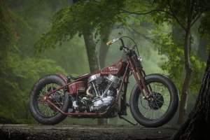 Infinity panhead bt2 8