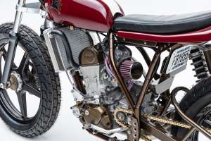 Mule Hond CR450 Tracker 6