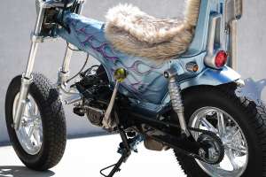 Fever honda dax 10