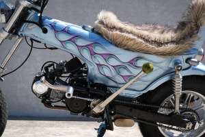 Fever honda dax 12