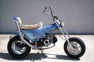 Fever honda dax 14
