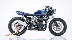 Mule triumph jma 2