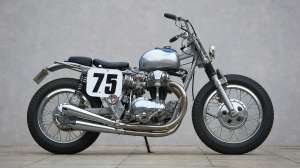 Moana w650 tracker 19